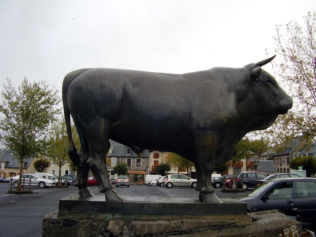 Vvf Aubrac Hotell Chaudes-Aigues Eksteriør bilde